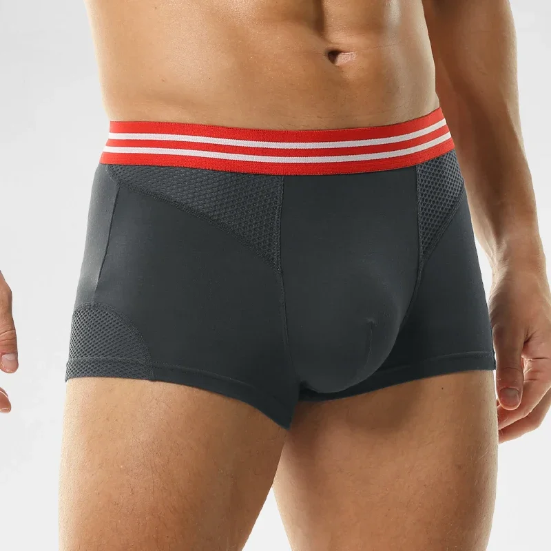 Underwear Men's boxers Modal m - Mesh Sport Boxer review and price